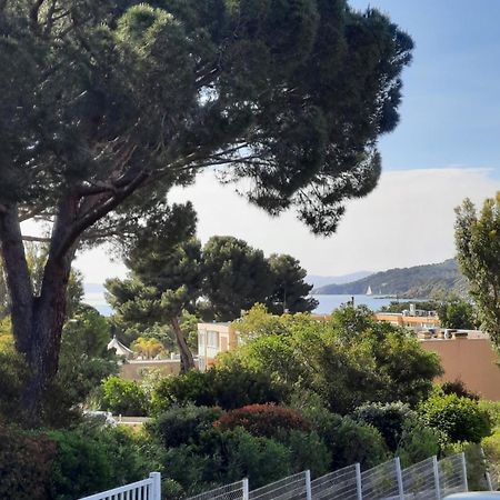 Studio Thalie Bormes-les-Mimosas Εξωτερικό φωτογραφία