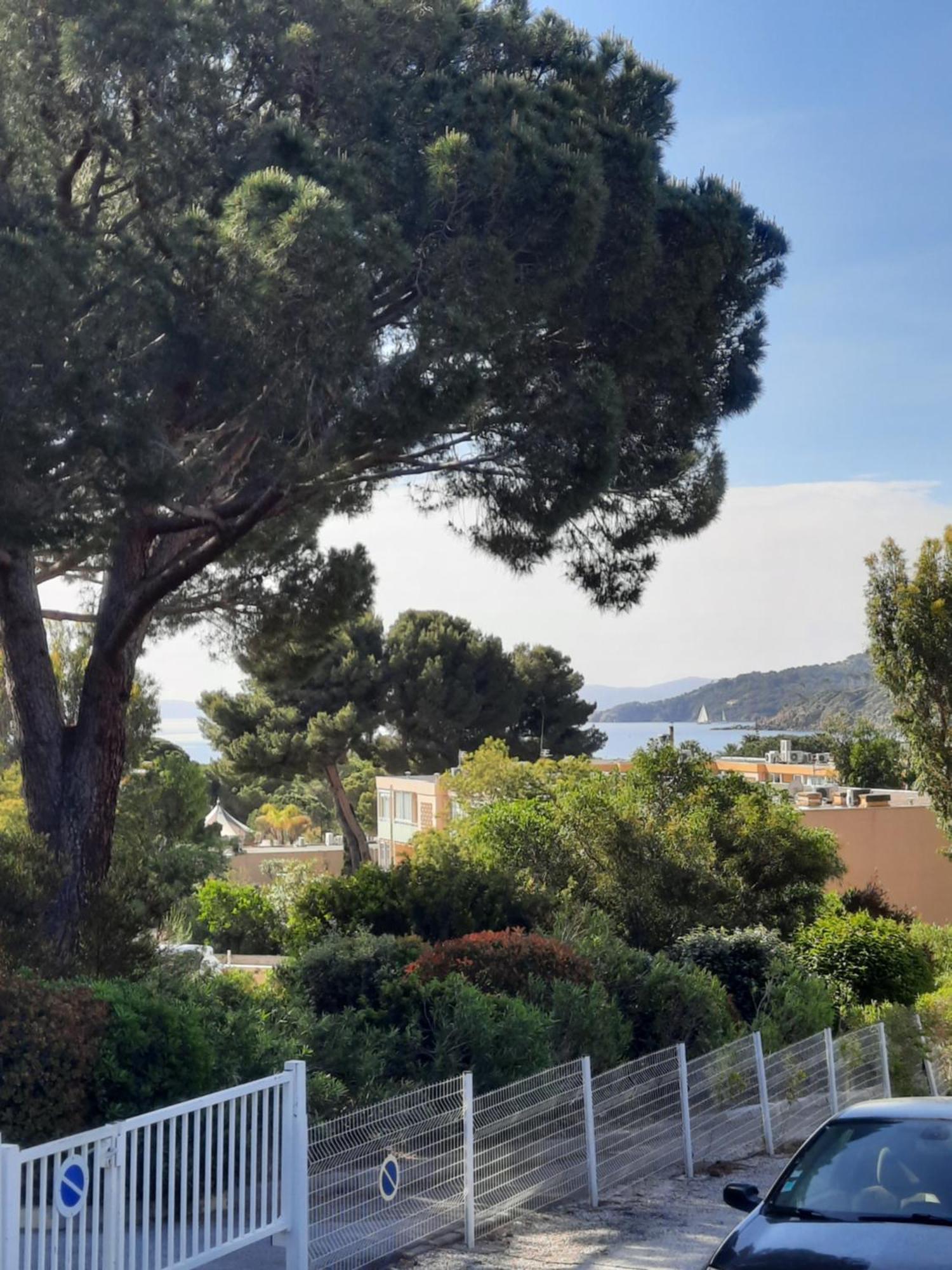 Studio Thalie Bormes-les-Mimosas Εξωτερικό φωτογραφία